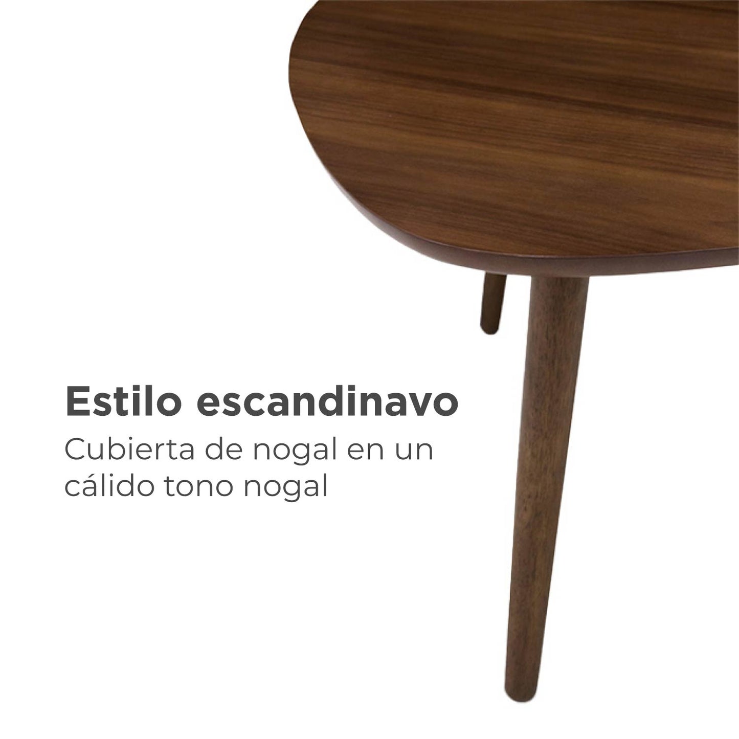 Mesa De Centro Tera Café