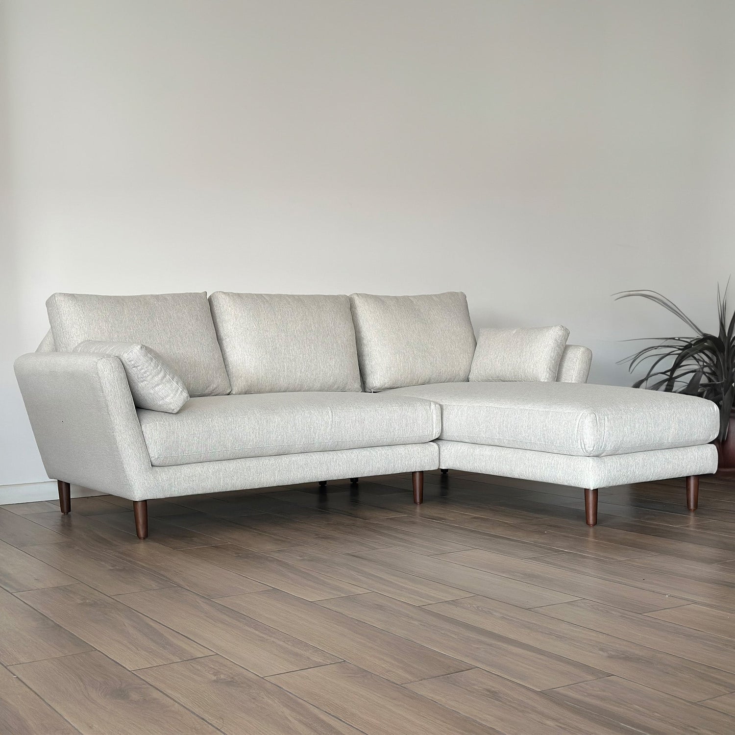 Sofás y Salas Modulares