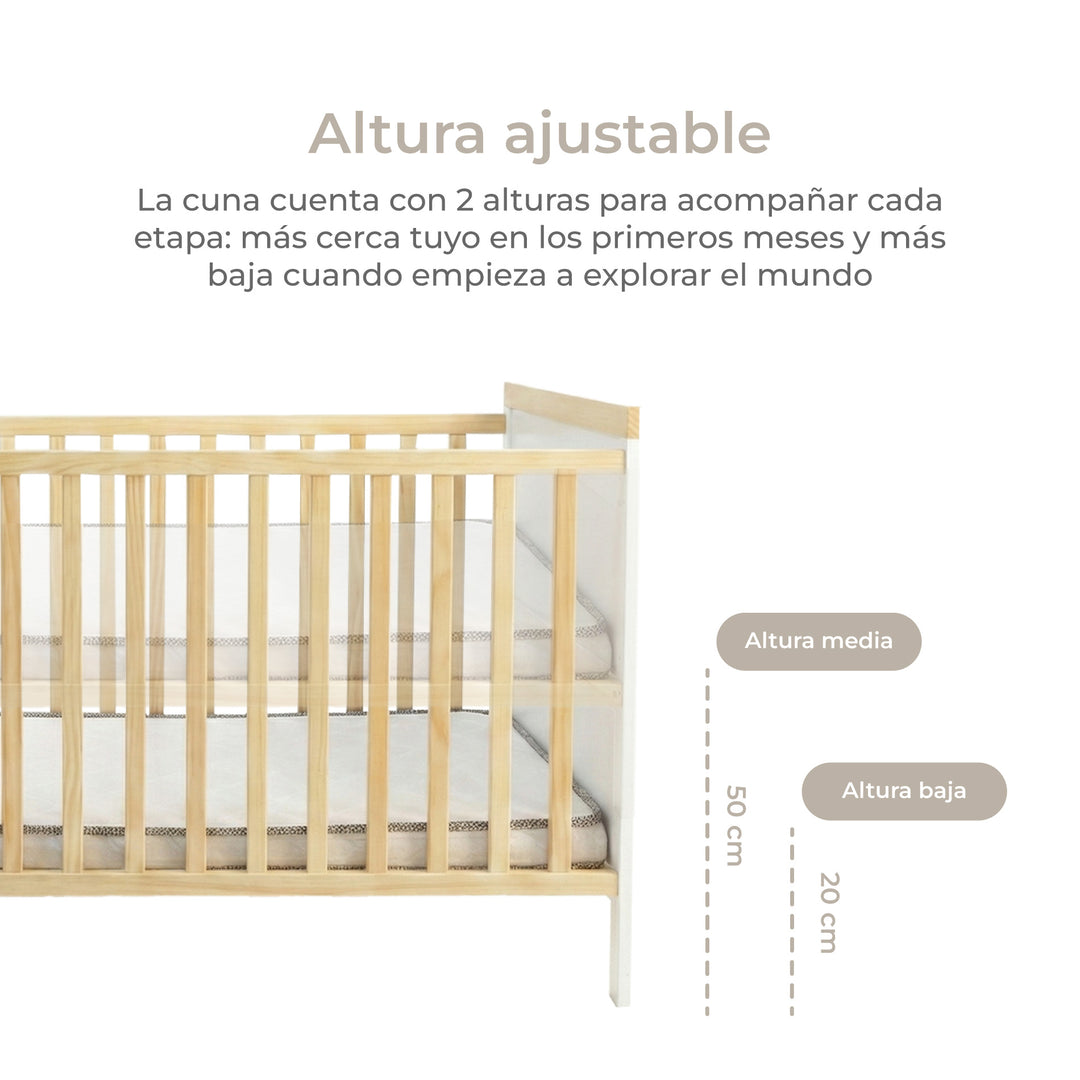 Cuna Funcional Evolutiva Aurora
